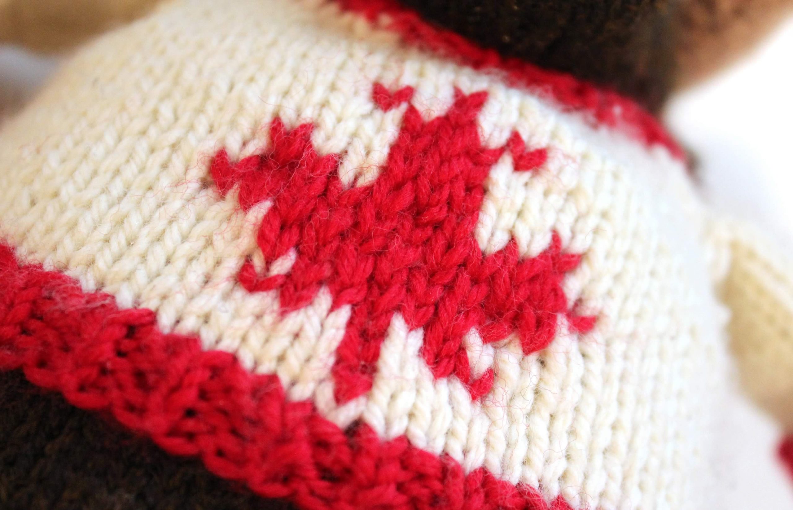 Lou the Elusive Moose