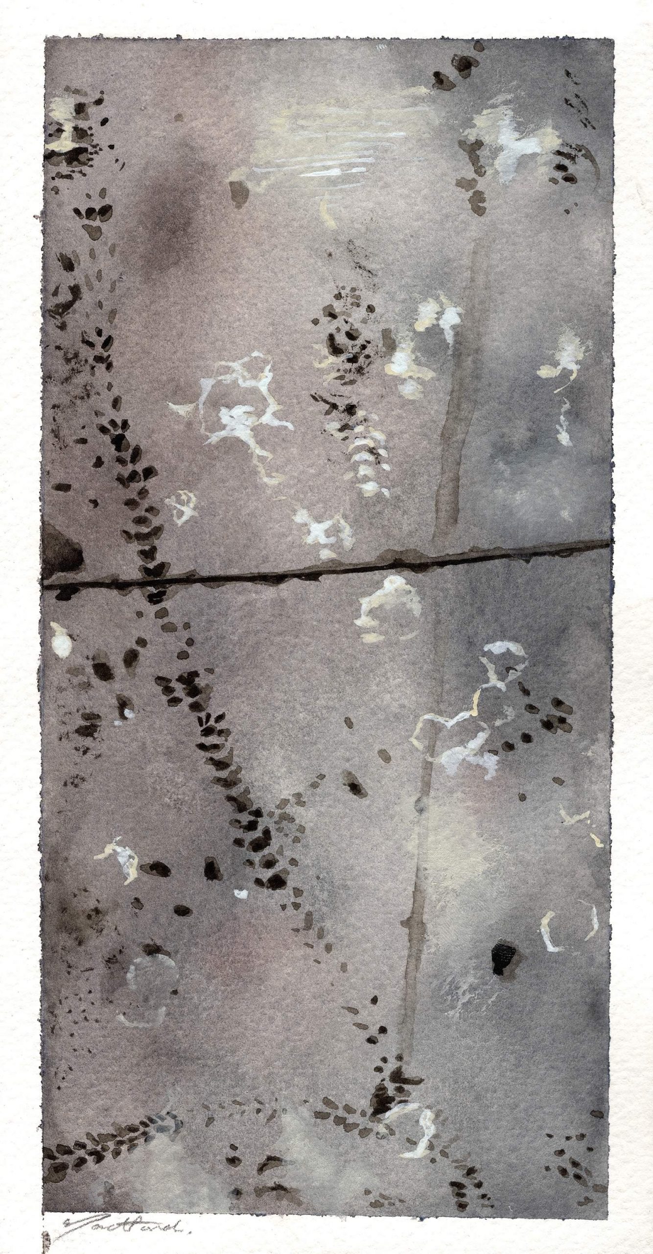 cole-headdown-05-1600